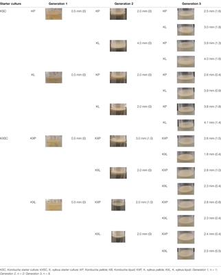 Reproducibility of Bacterial Cellulose Nanofibers Over Sub-Cultured Generations for the Development of Novel Textiles